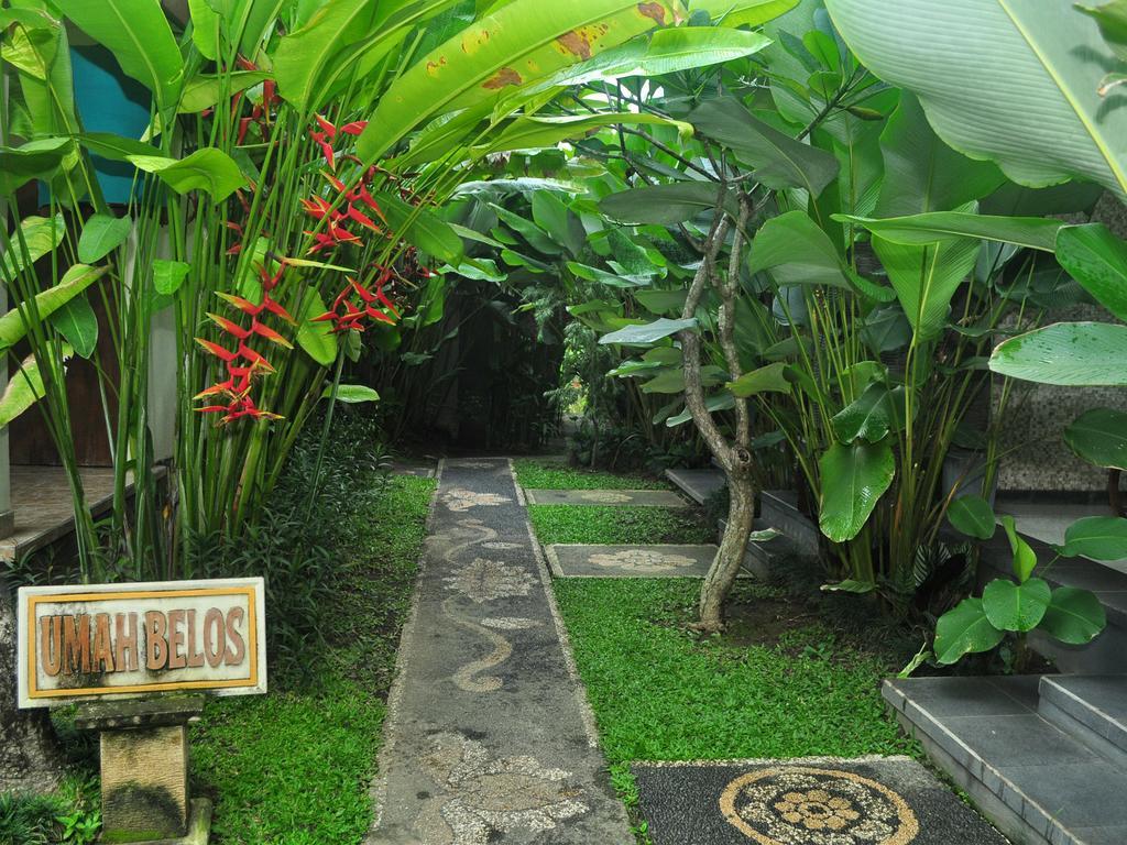 Umah Belos Homestay